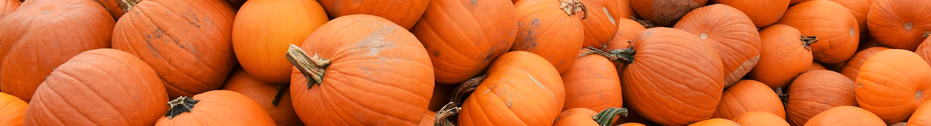 Halloween у Колочаві