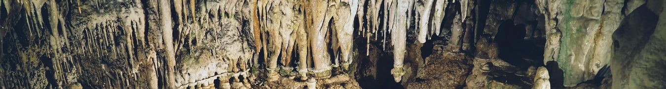 Underground life. Печера Оптимістична